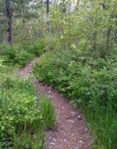Jewel Basin Hiking Area