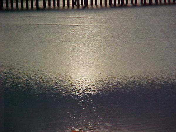 Montanas-Flathead-Lake0007