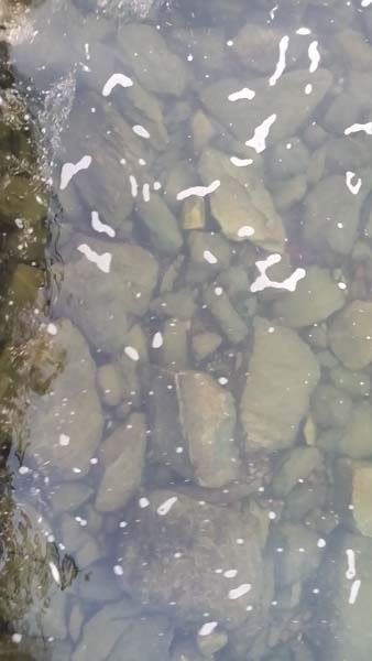 Montanas-Flathead-Lake0013