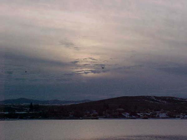 Montanas-Flathead-Lake0028