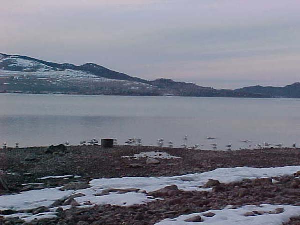 Montanas-Flathead-Lake0031