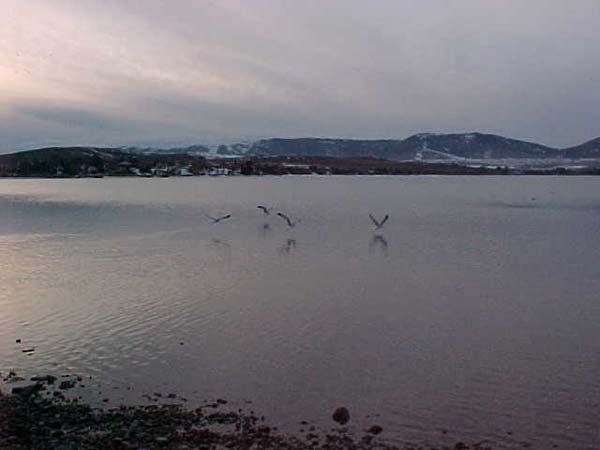 Montanas-Flathead-Lake0047