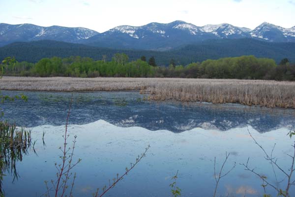 Montanas-Flathead-Lake0051