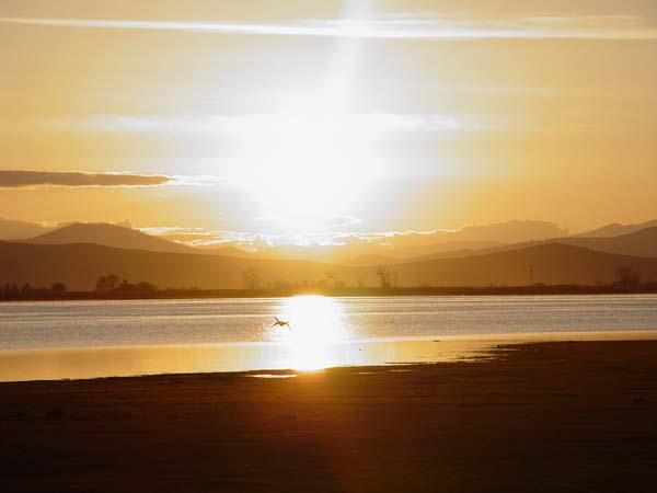 Montanas-Flathead-Lake0093