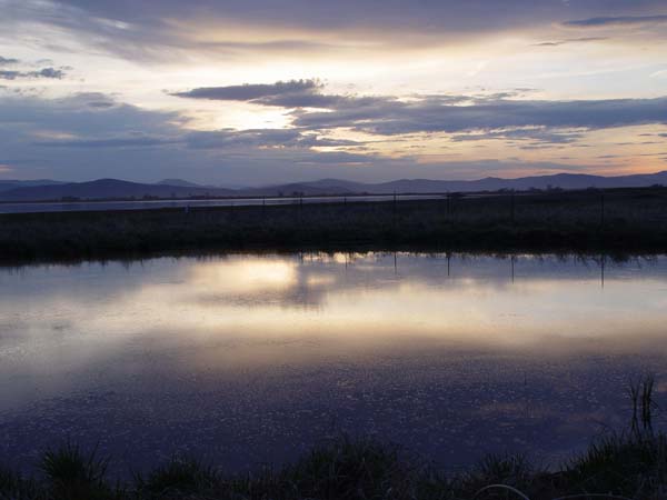 Montanas-Flathead-Lake0095