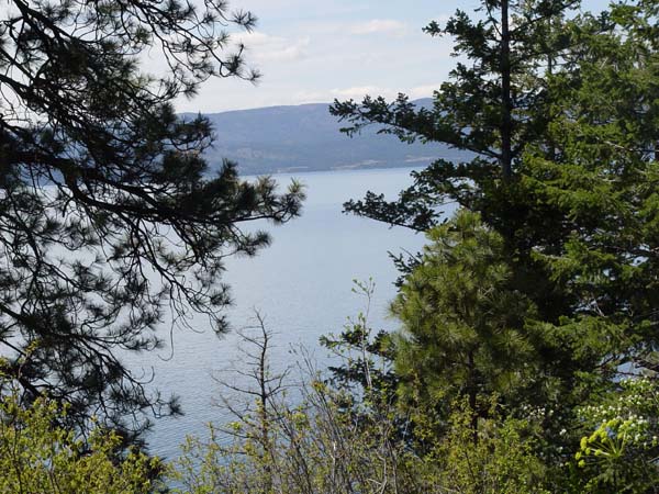 Montanas-Flathead-Lake0097