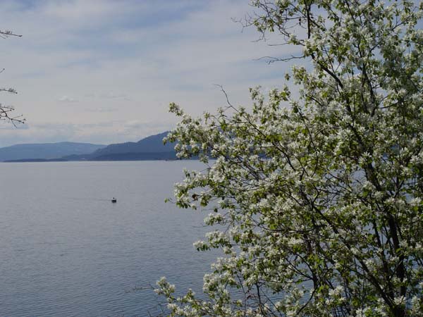 Montanas-Flathead-Lake0098