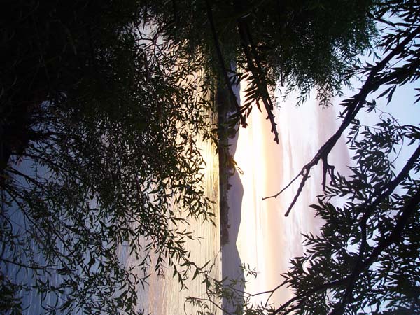 Montanas-Flathead-Lake0133