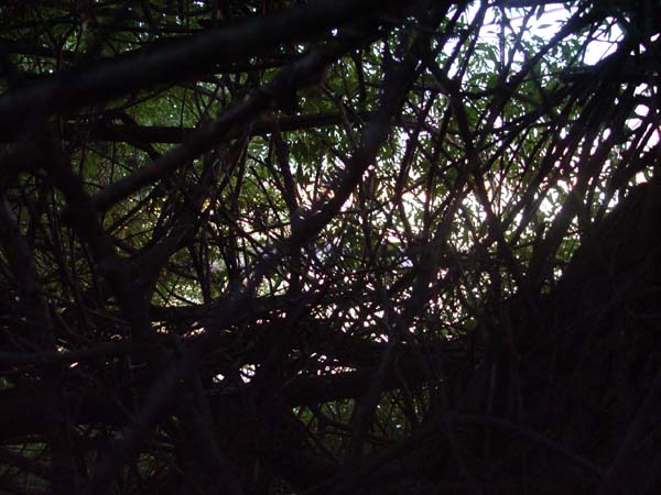 Montanas-Flathead-Lake0136