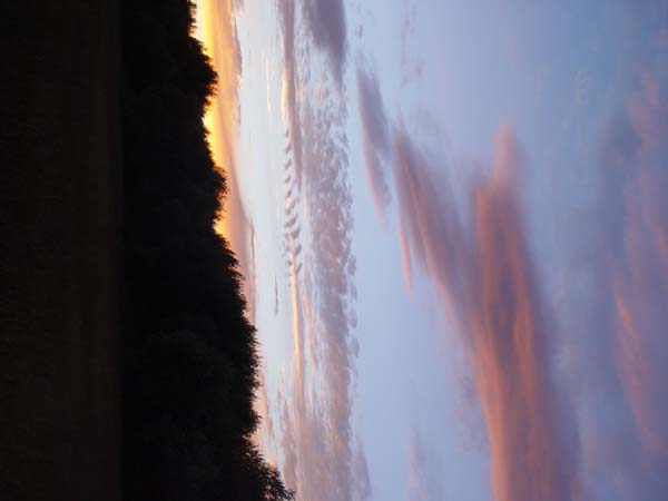 Montanas-Flathead-Lake0144