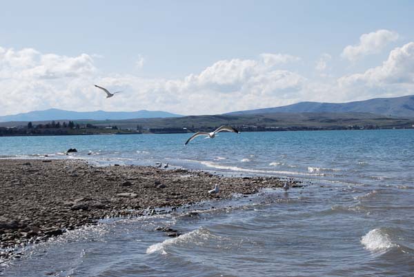 Montanas-Flathead-Lake0226