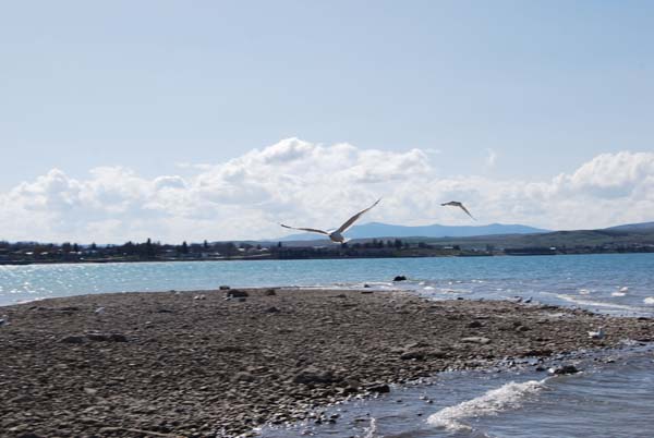 Montanas-Flathead-Lake0228