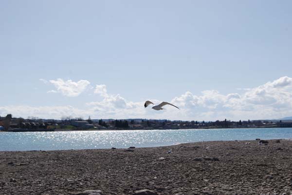 Montanas-Flathead-Lake0229