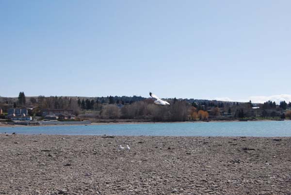 Montanas-Flathead-Lake0232