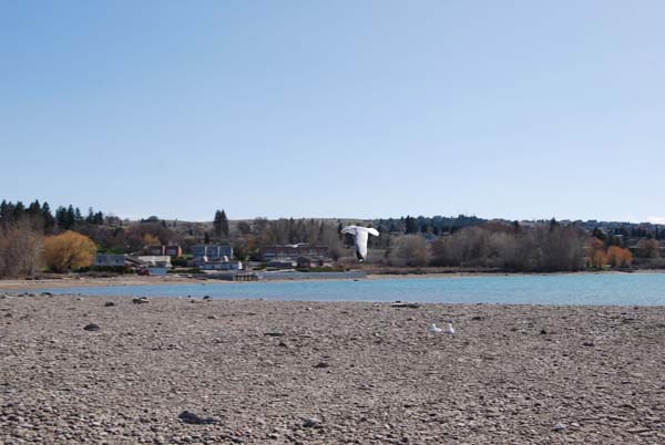 Montanas-Flathead-Lake0233