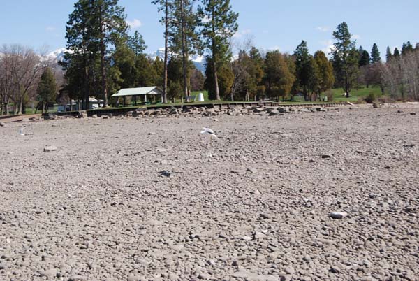 Montanas-Flathead-Lake0242