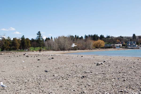 Montanas-Flathead-Lake0244