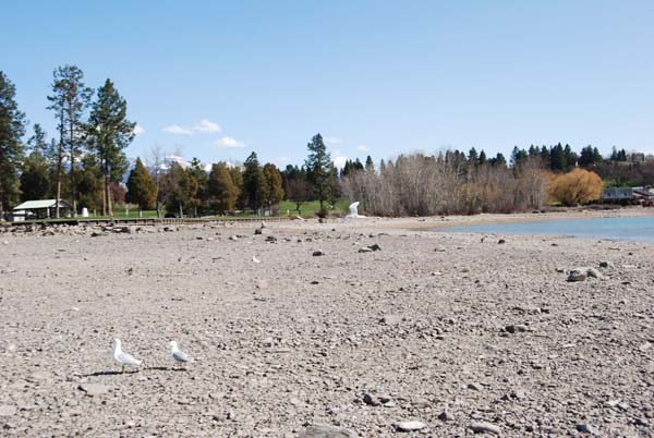 Montanas-Flathead-Lake0245