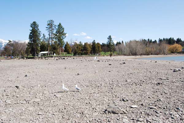 Montanas-Flathead-Lake0246