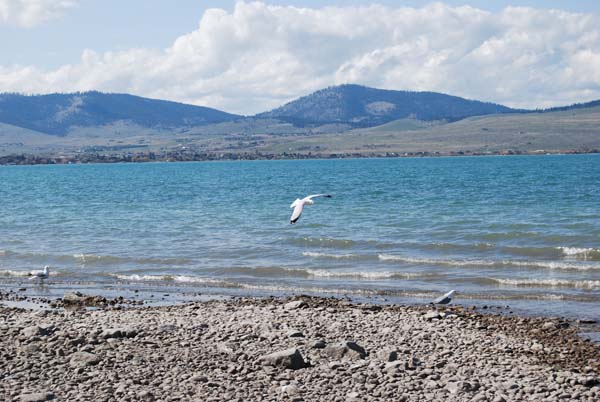 Montanas-Flathead-Lake0248