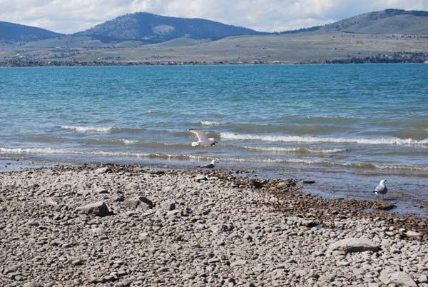 Montanas-Flathead-Lake0250