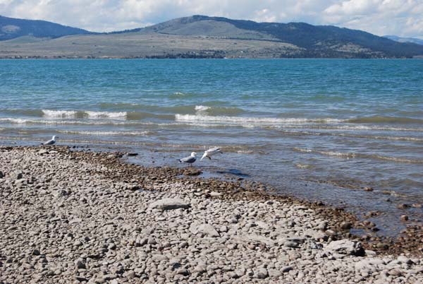 Montanas-Flathead-Lake0253