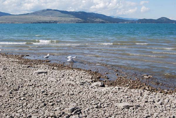 Montanas-Flathead-Lake0255