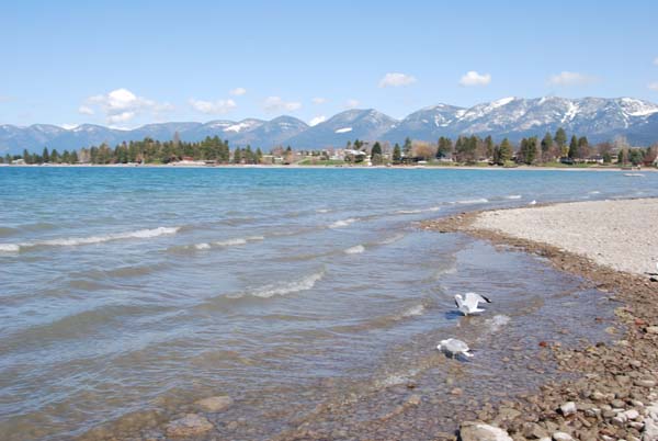 Montanas-Flathead-Lake0264