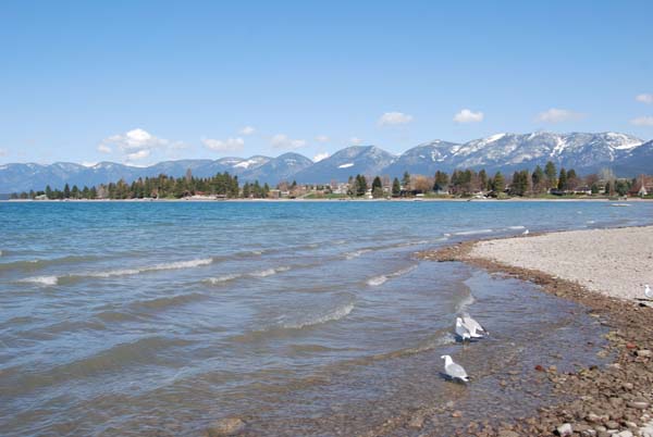 Montanas-Flathead-Lake0265