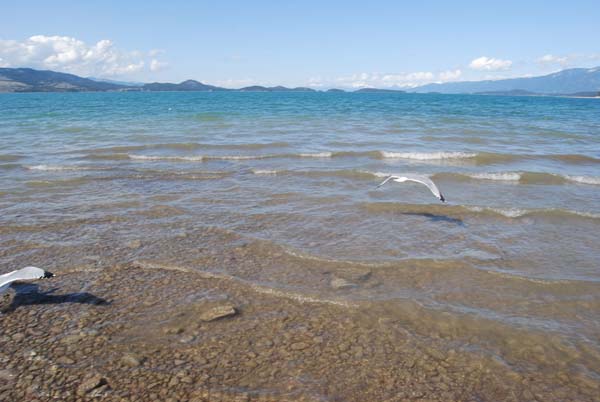 Montanas-Flathead-Lake0276