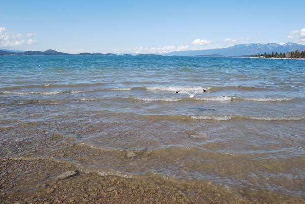 Montanas-Flathead-Lake0277
