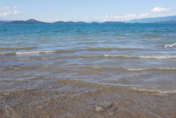 Montanas-Flathead-Lake0280