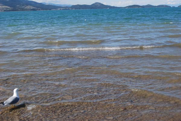 Montanas-Flathead-Lake0281