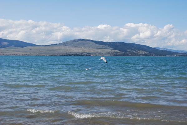 Montanas-Flathead-Lake0289