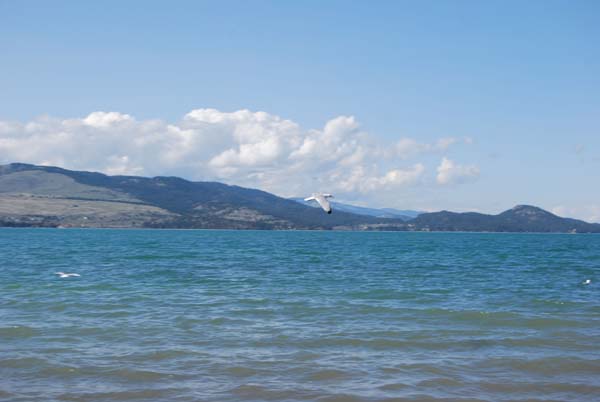 Montanas-Flathead-Lake0290