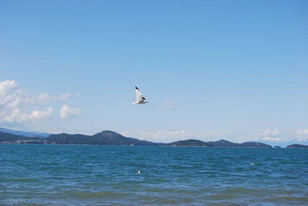 Montanas-Flathead-Lake0292