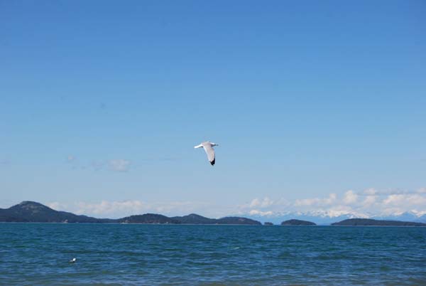 Montanas-Flathead-Lake0293