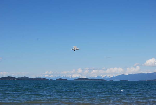 Montanas-Flathead-Lake0294