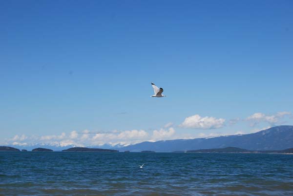 Montanas-Flathead-Lake0295