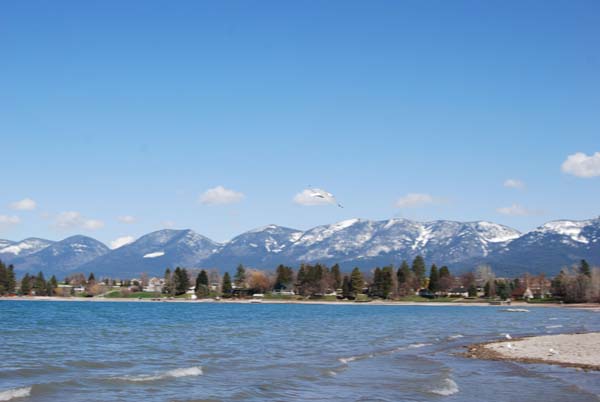 Montanas-Flathead-Lake0299