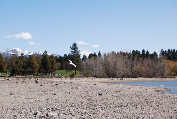 Montanas-Flathead-Lake0304