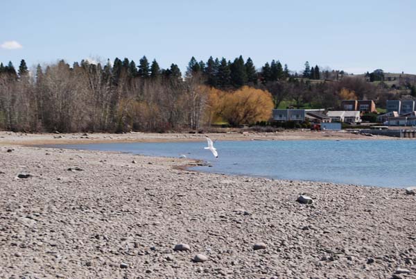 Montanas-Flathead-Lake0306