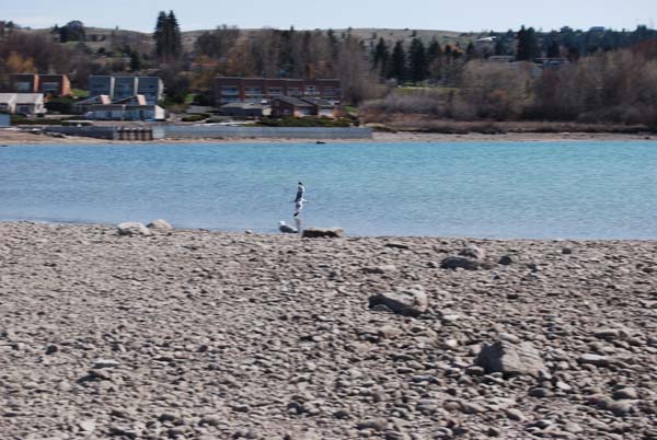 Montanas-Flathead-Lake0308