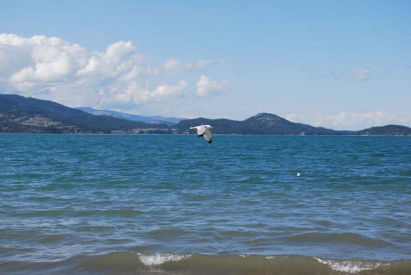 Montanas-Flathead-Lake0310