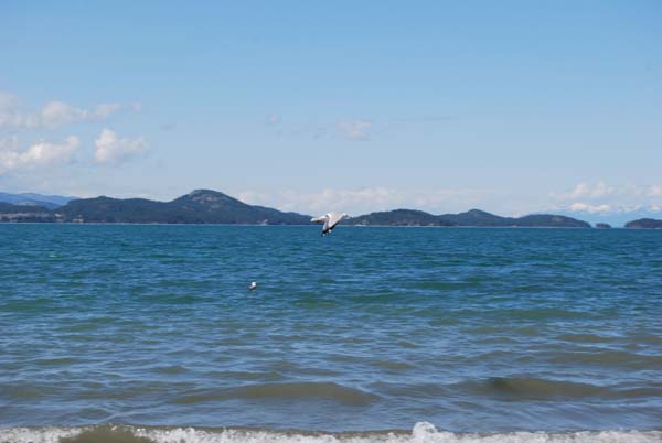 Montanas-Flathead-Lake0311