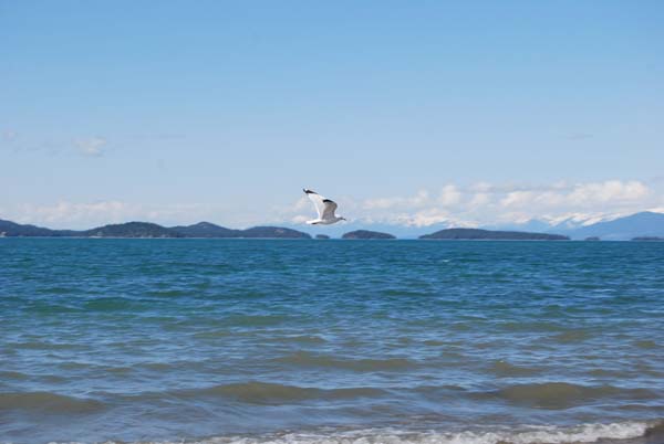 Montanas-Flathead-Lake0312