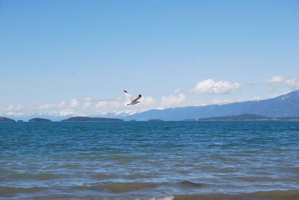 Montanas-Flathead-Lake0313