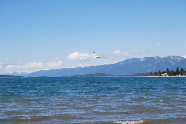 Montanas-Flathead-Lake0314