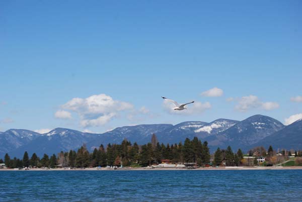 Montanas-Flathead-Lake0316