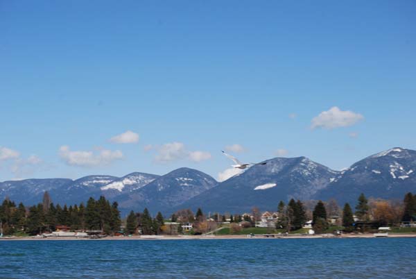 Montanas-Flathead-Lake0317